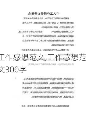 工作感想范文,工作感想范文300字-第2张图片-星梦范文网