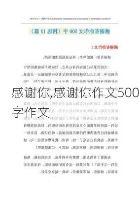 感谢你,感谢你作文500字作文-第2张图片-星梦范文网