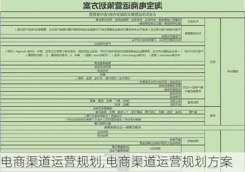 电商渠道运营规划,电商渠道运营规划方案-第2张图片-星梦范文网