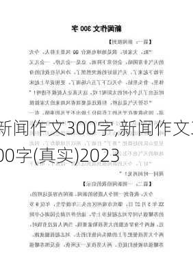 新闻作文300字,新闻作文300字(真实)2023