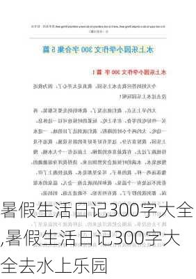 暑假生活日记300字大全,暑假生活日记300字大全去水上乐园-第3张图片-星梦范文网