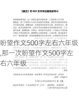 盼望作文500字左右六年级,那一次盼望作文500字左右六年级-第1张图片-星梦范文网