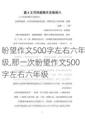 盼望作文500字左右六年级,那一次盼望作文500字左右六年级-第2张图片-星梦范文网