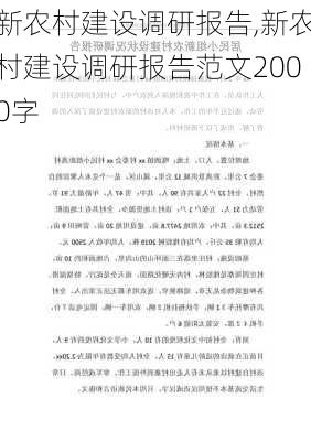 新农村建设调研报告,新农村建设调研报告范文2000字-第2张图片-星梦范文网