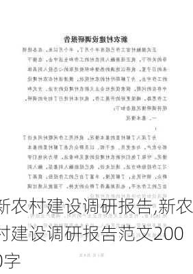 新农村建设调研报告,新农村建设调研报告范文2000字-第3张图片-星梦范文网