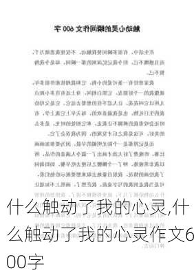 什么触动了我的心灵,什么触动了我的心灵作文600字-第3张图片-星梦范文网