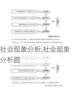 社会现象分析,社会现象分析题-第2张图片-星梦范文网