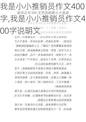 我是小小推销员作文400字,我是小小推销员作文400字说明文