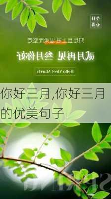 你好三月,你好三月的优美句子-第3张图片-星梦范文网