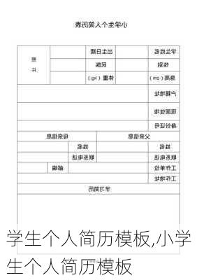 学生个人简历模板,小学生个人简历模板-第2张图片-星梦范文网