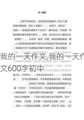 我的一天作文,我的一天作文600字初中-第3张图片-星梦范文网