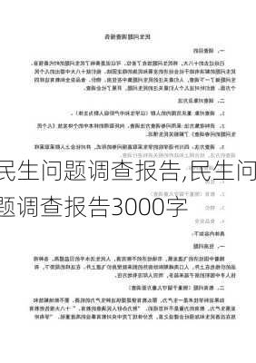 民生问题调查报告,民生问题调查报告3000字-第2张图片-星梦范文网