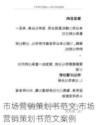 市场营销策划书范文,市场营销策划书范文案例-第3张图片-星梦范文网