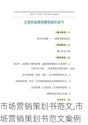 市场营销策划书范文,市场营销策划书范文案例-第2张图片-星梦范文网