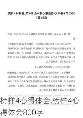 榜样4心得体会,榜样4心得体会800字