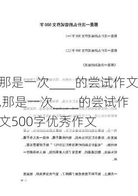 那是一次____的尝试作文,那是一次____的尝试作文500字优秀作文-第1张图片-星梦范文网