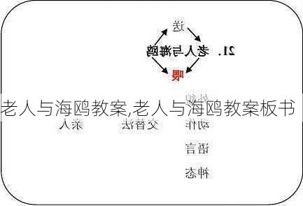 老人与海鸥教案,老人与海鸥教案板书-第3张图片-星梦范文网