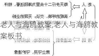 老人与海鸥教案,老人与海鸥教案板书-第1张图片-星梦范文网