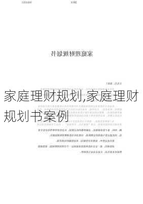 家庭理财规划,家庭理财规划书案例-第2张图片-星梦范文网