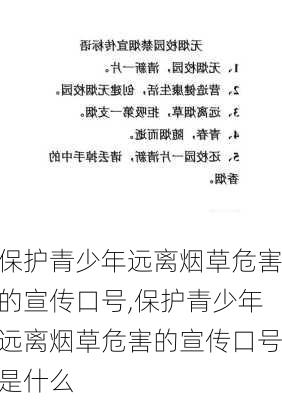 保护青少年远离烟草危害的宣传口号,保护青少年远离烟草危害的宣传口号是什么-第3张图片-星梦范文网