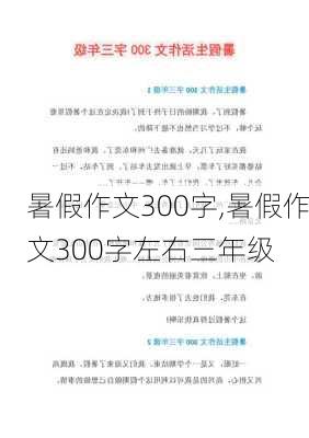 暑假作文300字,暑假作文300字左右三年级-第2张图片-星梦范文网