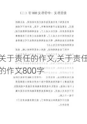 关于责任的作文,关于责任的作文800字-第2张图片-星梦范文网