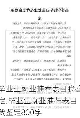 毕业生就业推荐表自我鉴定,毕业生就业推荐表自我鉴定800字-第1张图片-星梦范文网