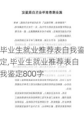 毕业生就业推荐表自我鉴定,毕业生就业推荐表自我鉴定800字-第3张图片-星梦范文网