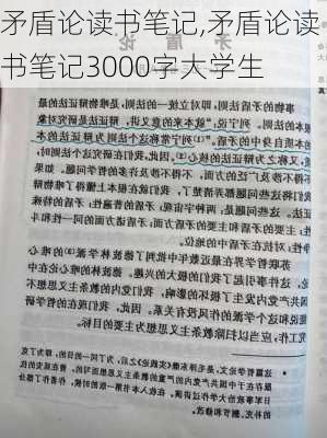 矛盾论读书笔记,矛盾论读书笔记3000字大学生-第2张图片-星梦范文网