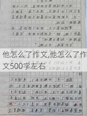 他怎么了作文,他怎么了作文500字左右-第2张图片-星梦范文网