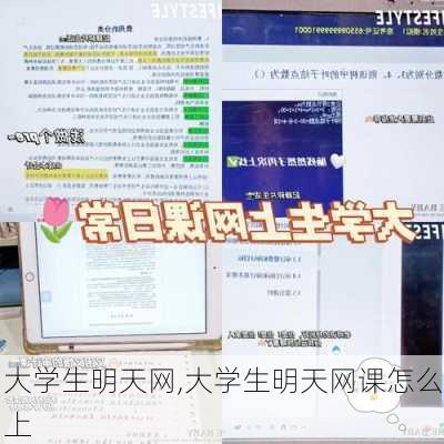 大学生明天网,大学生明天网课怎么上-第2张图片-星梦范文网