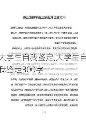 大学生自我鉴定,大学生自我鉴定300字-第2张图片-星梦范文网