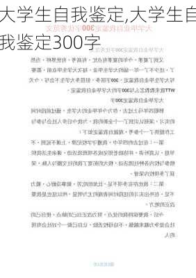 大学生自我鉴定,大学生自我鉴定300字-第3张图片-星梦范文网