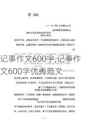 记事作文600字,记事作文600字优秀范文-第2张图片-星梦范文网