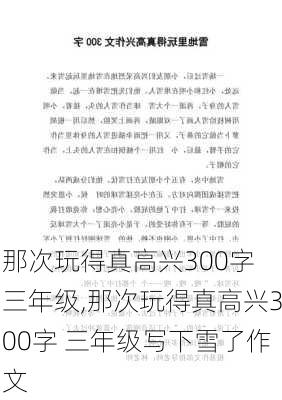 那次玩得真高兴300字 三年级,那次玩得真高兴300字 三年级写下雪了作文