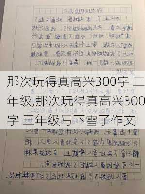 那次玩得真高兴300字 三年级,那次玩得真高兴300字 三年级写下雪了作文-第2张图片-星梦范文网