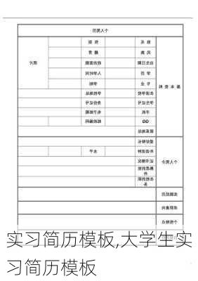 实习简历模板,大学生实习简历模板-第2张图片-星梦范文网