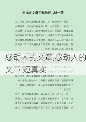 感动人的文章,感动人的文章 短真实