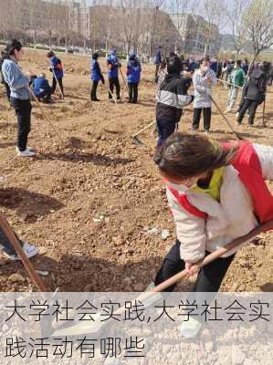 大学社会实践,大学社会实践活动有哪些-第3张图片-星梦范文网