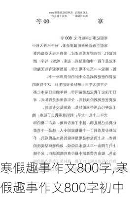 寒假趣事作文800字,寒假趣事作文800字初中-第3张图片-星梦范文网