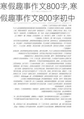 寒假趣事作文800字,寒假趣事作文800字初中-第2张图片-星梦范文网