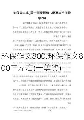 环保作文800,环保作文800字左右(一等奖)-第2张图片-星梦范文网