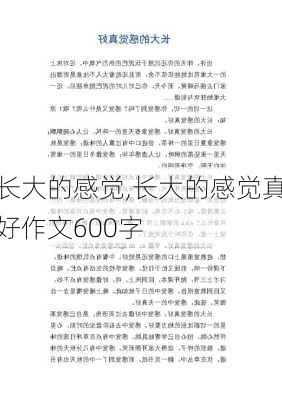 长大的感觉,长大的感觉真好作文600字-第2张图片-星梦范文网