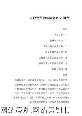 网站策划,网站策划书