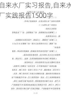 自来水厂实习报告,自来水厂实践报告1500字-第3张图片-星梦范文网