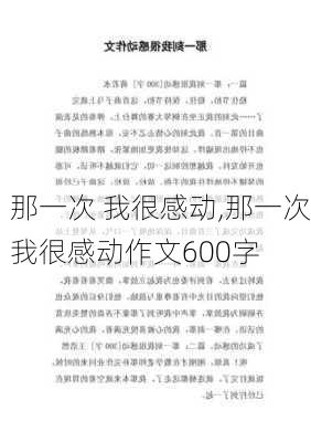 那一次 我很感动,那一次我很感动作文600字-第2张图片-星梦范文网