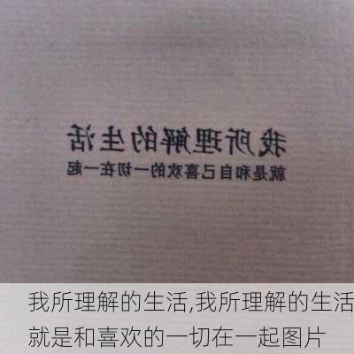 我所理解的生活,我所理解的生活就是和喜欢的一切在一起图片