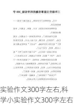 实验作文300字左右,科学小实验作文300字左右-第2张图片-星梦范文网