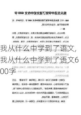 我从什么中学到了语文,我从什么中学到了语文600字-第2张图片-星梦范文网