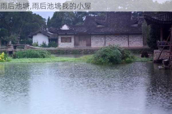 雨后池塘,雨后池塘我的小屋-第3张图片-星梦范文网